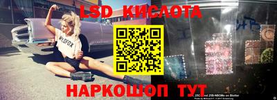 амф Можга
