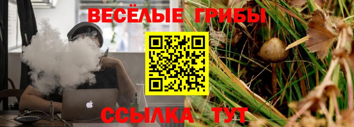 Галлюциногенные грибы мухоморы Дивногорск